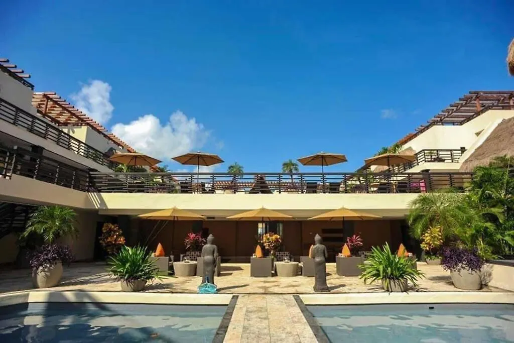 Cozy & Huge Studio Front Mamita'S Beach Apartment Playa del Carmen